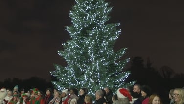 President Connolly switches on Christmas lights at Áras an Uachtaráin