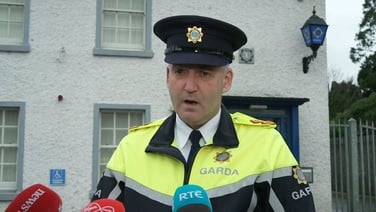 'This was a reckless, callous and murderous attack on a family home', gardaí say