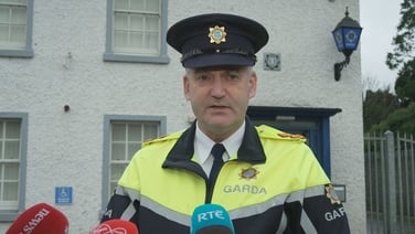 'A reckless, callous and murderous attack on a family home' - gardaí