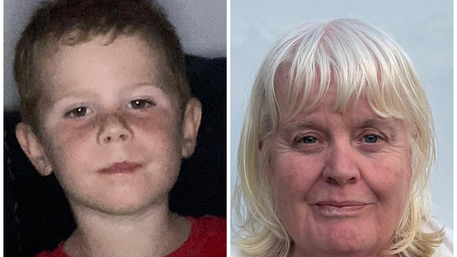 Gardaí are working to identify suspects for an arson attack on a house in Co Offaly over the weekend, which claimed the lives of a young boy and his grandaunt.