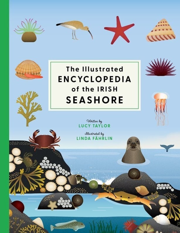 BOOK Irish Seashore