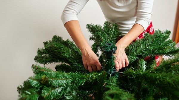 woman assembling artificial christmas tree