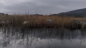 Ambient Orbit show image