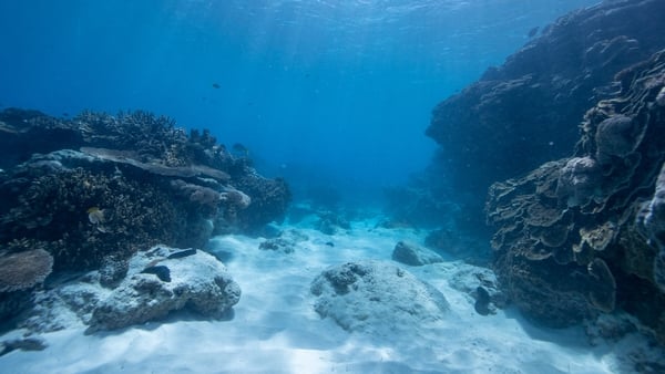 Picture on the sea bed with rocks on either side of sand
