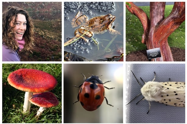 MGW Anja Murray Composite