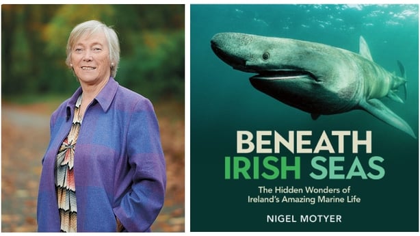 MGW Book - Eanna ni Lamhna