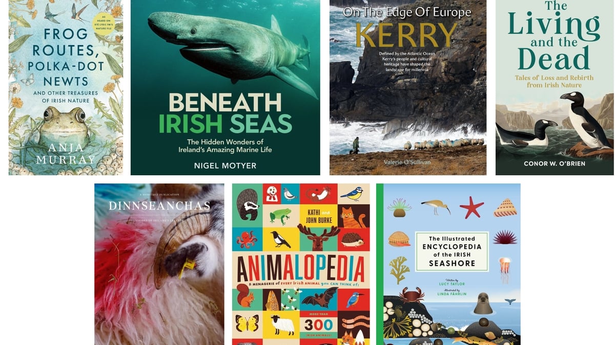 Nature Book Suggestions For Christmas