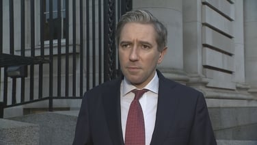 Important to have mechanisms in place to enforce digital age of consent - Tánaiste