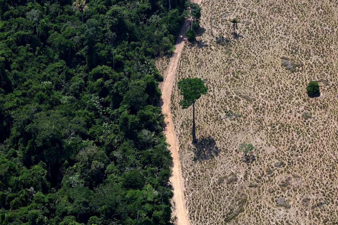 A tree stands in a deforested area in Maraba, Para state, Brazil, on 11 September