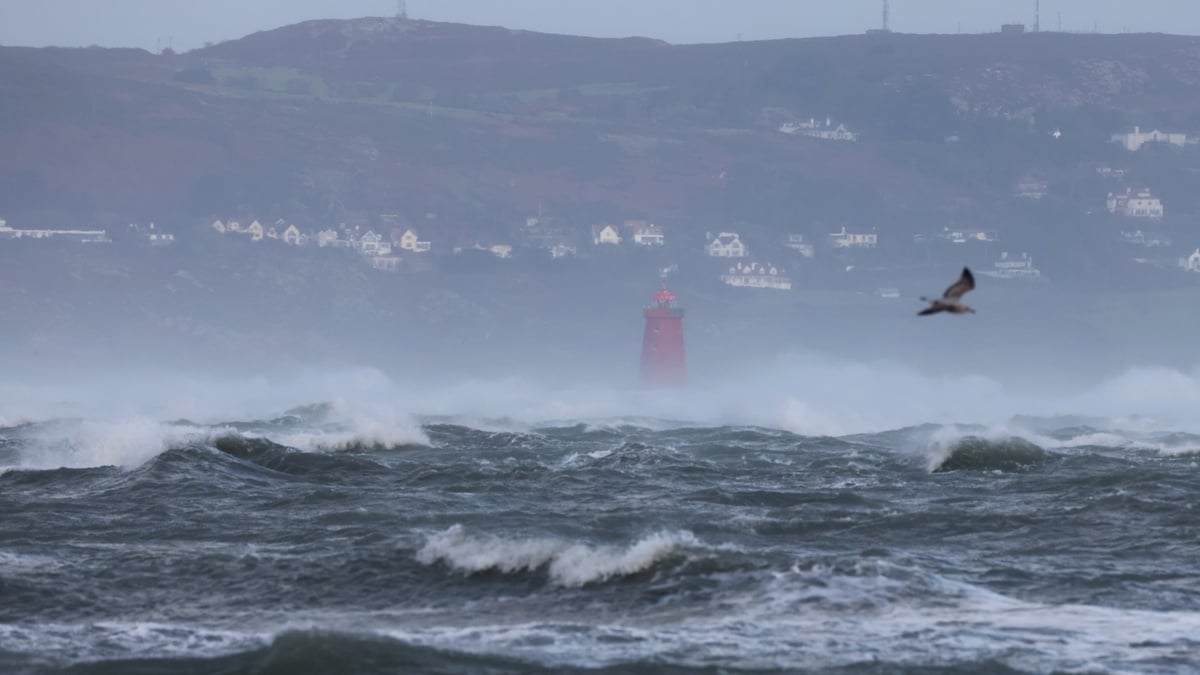 Thousands without power as Storm Bram disrupts travel