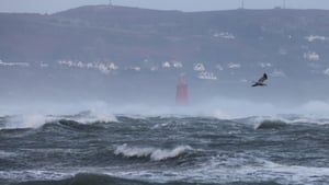 Thousands without power as Storm Bram disrupts travel  show image