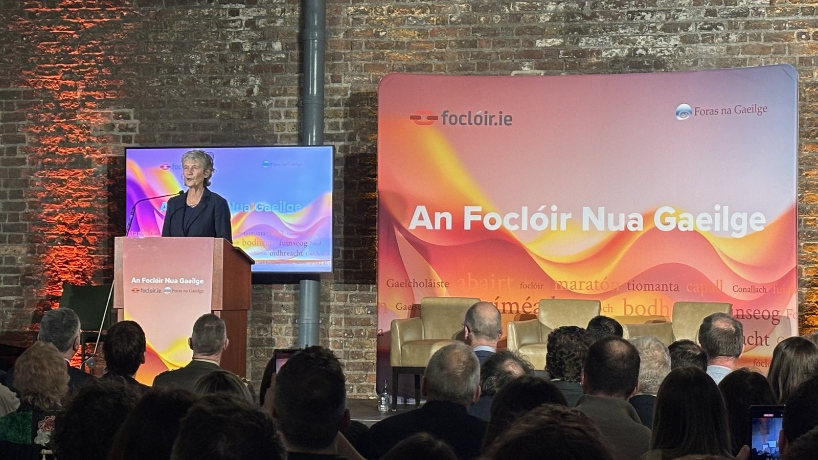 Groundbreaking monolingual Irish dictionary launched