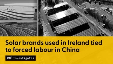 Widely used solar brands tied to forced labour in China
