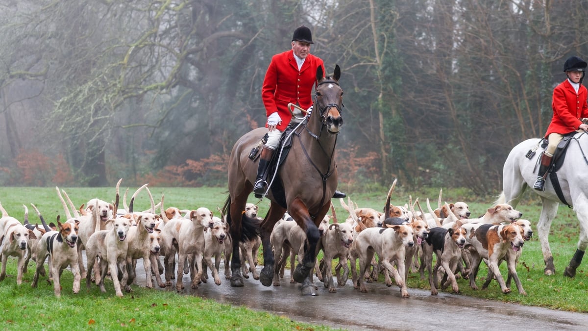 Bill to ban fox hunting on agenda in Dáil