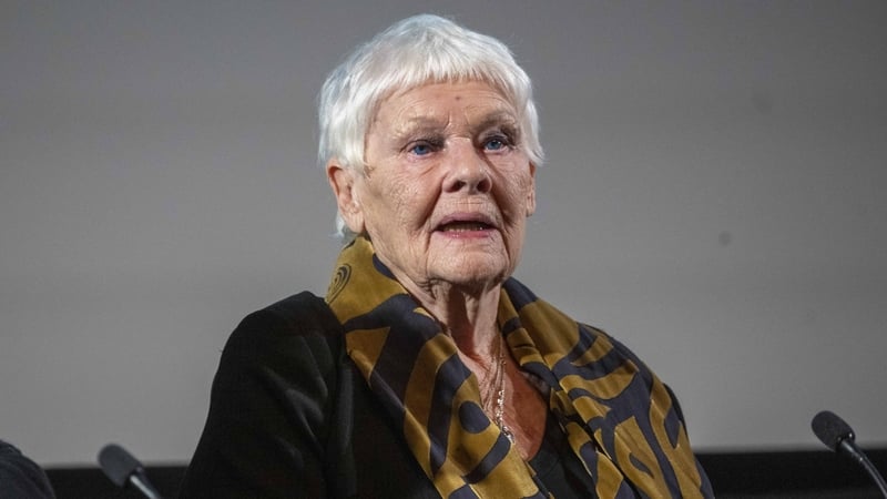 Judi Dench (pictured at a screening of her 2001 film Iris in London in December 2024) has just turned 91