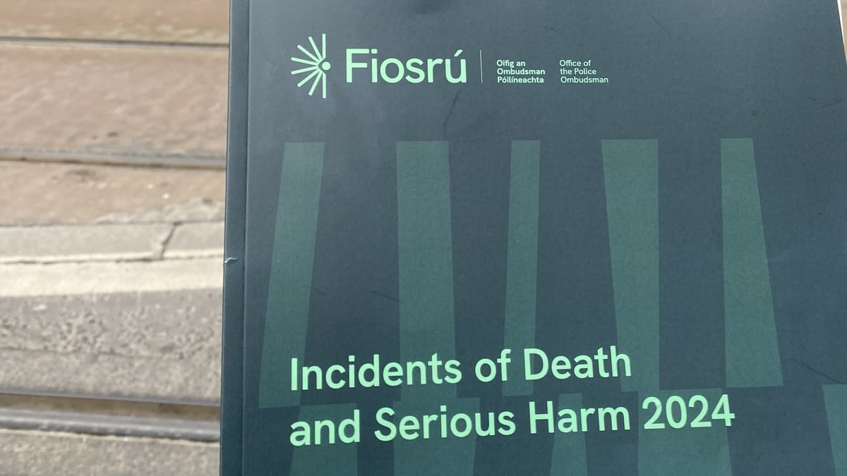Fiosrú release their 2024 Incidents of Death and Serious harm