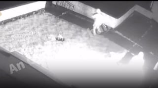 CCTV showing moment of Edenderry arson attack released