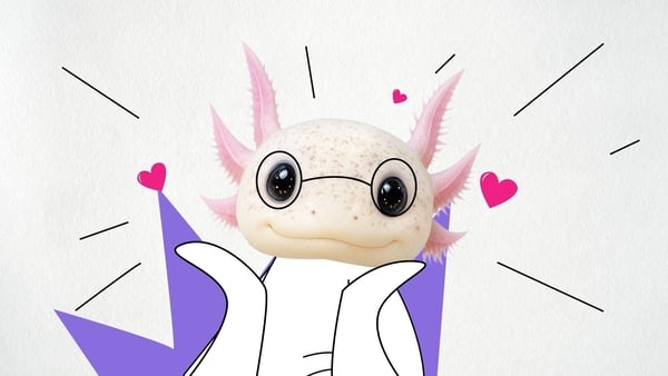 Fun graphic with a pink Axolotl