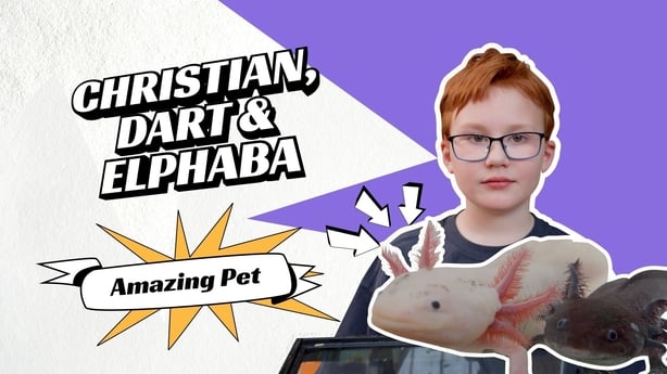 A graphic poster with a boy and his two axolotl pets