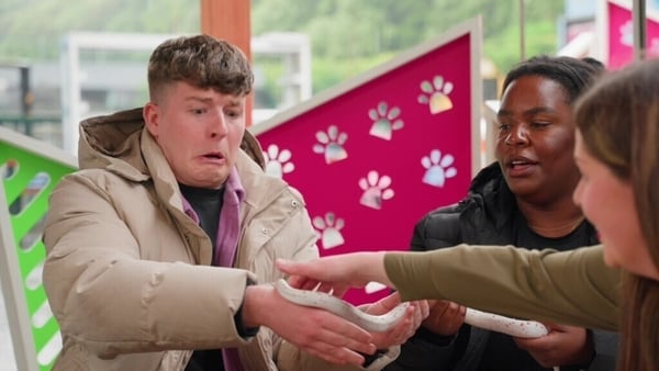 A man reacts as a snake crawls up the sleeve of his jacket.
