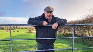 Louping Ill  show image