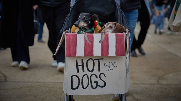 Two Daschunds are pushed in a pram as they take part in the 6th Annual Paris Sausage Walk 