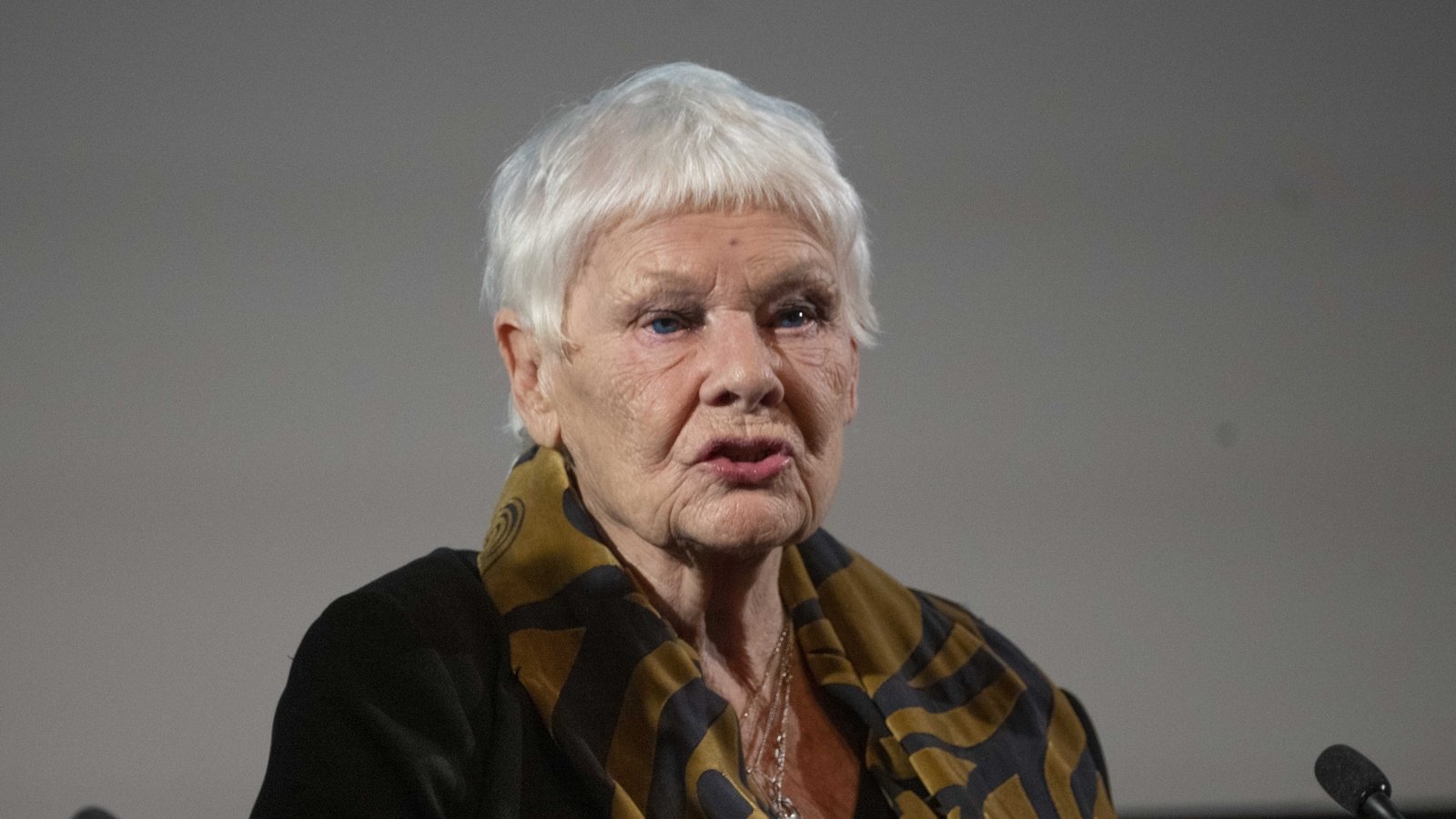 Judi Dench: Social media dulls public interest in arts