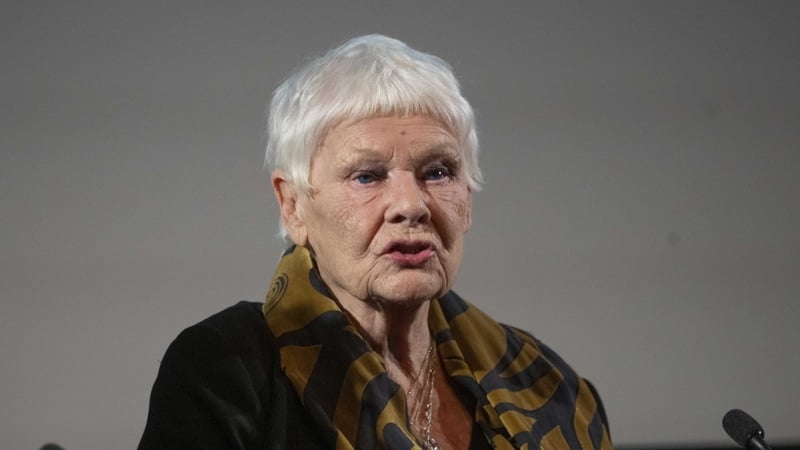 Judi Dench said she feared younger generations would not be able to access creative pursuits