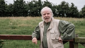 Tommy Sands: Ceannródaí an Cheoil show image