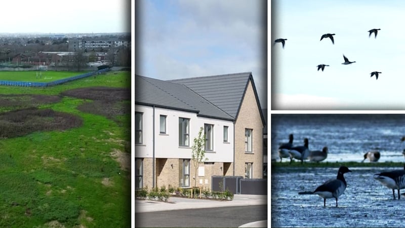 To date, the construction of roughly 1,200 homes has been halted due to potential impacts on the birds' feeding sites.