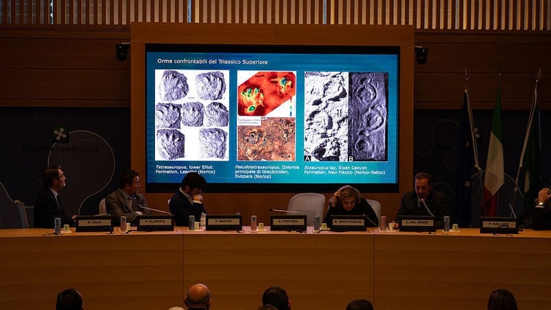 The tracks, which are over 200 million years old, were discovered in the Stelvio National Park