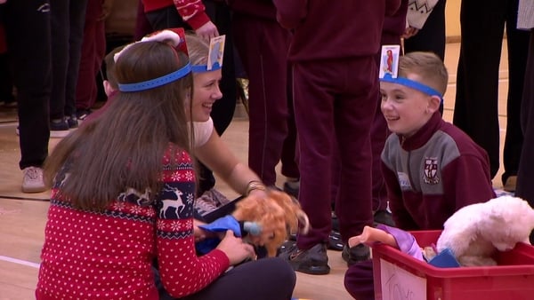 Young people playing a game of guess who.
