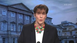 Minister outlines due diligence checks on Gavin