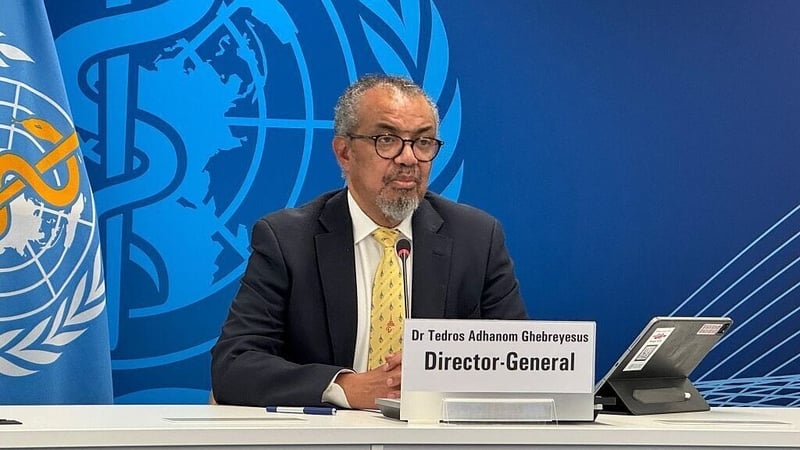 WHO chief Tedros Adhanom Ghebreyesus said traditional medicine is not a thing of the past (file image)
