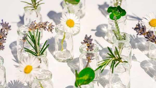 Natural ingredients for cosmetic products for the care of skin and hair. Concept with Bottles with natural plants. Bottles with herbs for natural essential oils and organic cosmetics , medicine on the white background. Concept of an eco, supplement, cosme