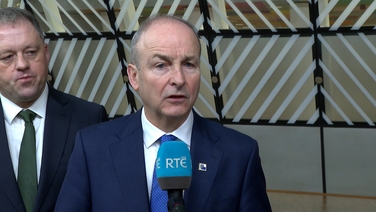 Ireland in favour of using immobilised Russian assets - Taoiseach