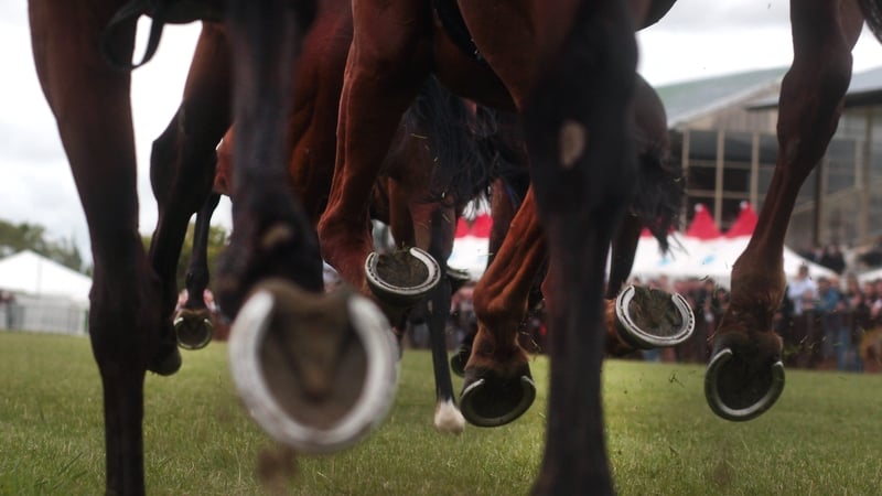 The biggest bet placed on the 300-1 outsider Blowers was a £2 each-way single