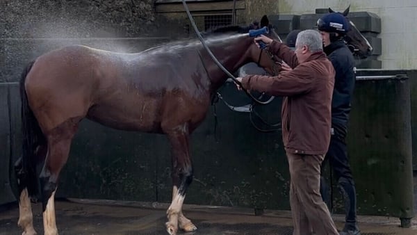 Eric McNamara seen hosing down a horse
