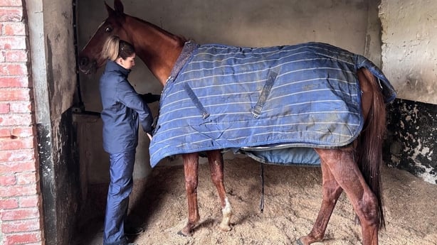 Kate McNamara tending to French Dynamite