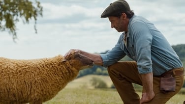Hugh Jackman's flock become The Sheep Detectives