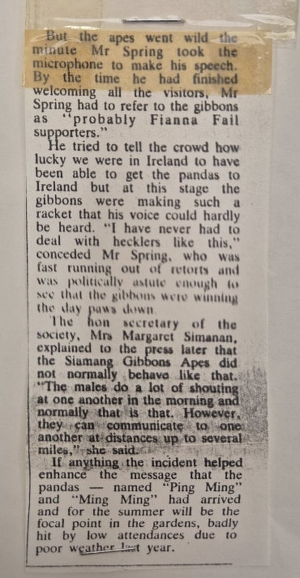 newspaper-report-giant-pandas-RTE