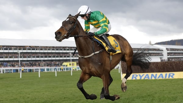 Fact To File ridden by Mark Walsh race clear of the final fence to win the Ryanair Chase during racing on day three of the Cheltenham National Hunt jump racing festival at Cheltenham Racecourse on March 13th 2025 in Gloucestershire, England (Photo by Tom