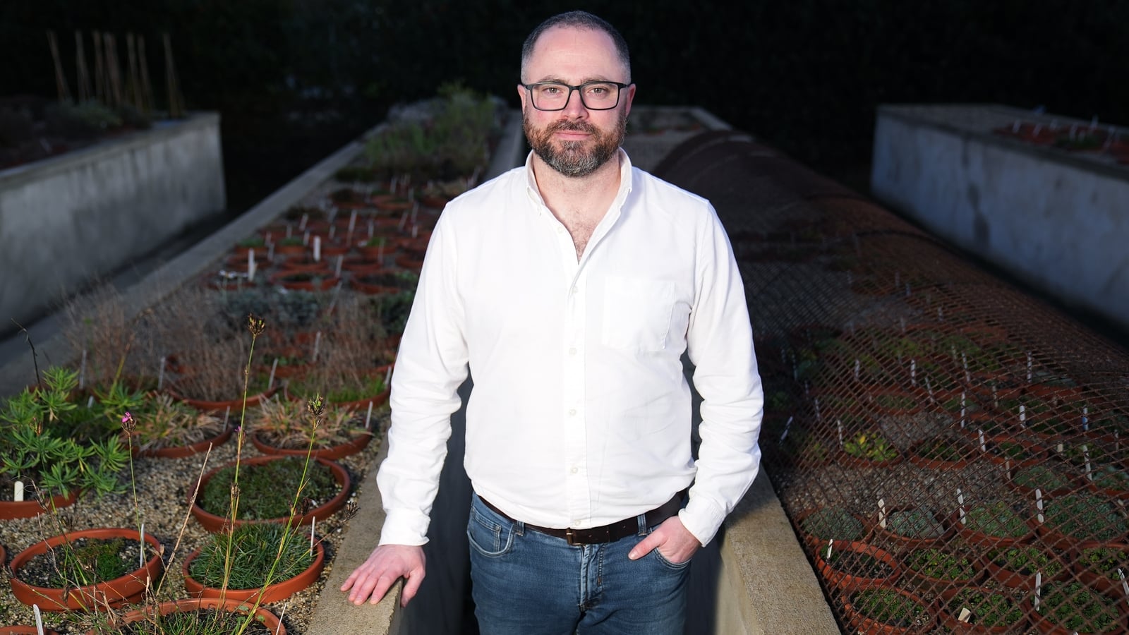 Conservationists Collect Seeds to Preserve Wales' Native Plant Species