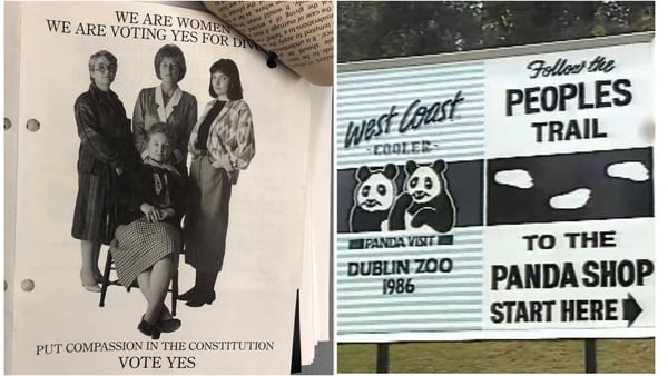 Divorce referendum and pandas feature prominently in today's State Papers