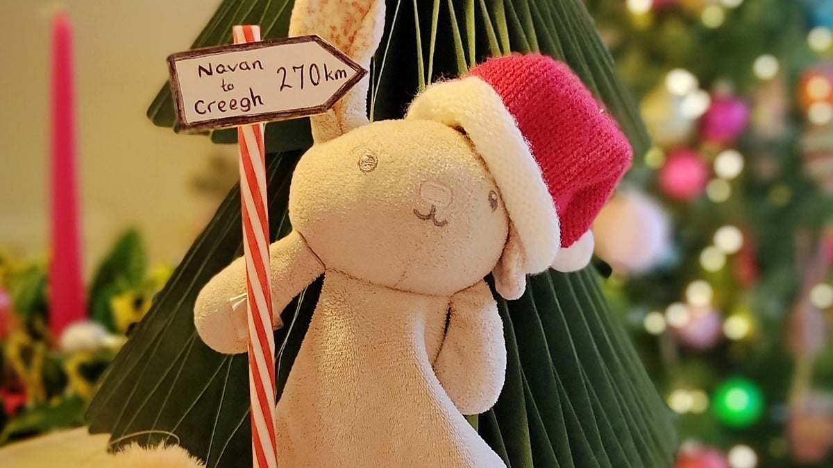 Can we get Fifi the Bunny back home for Christmas?