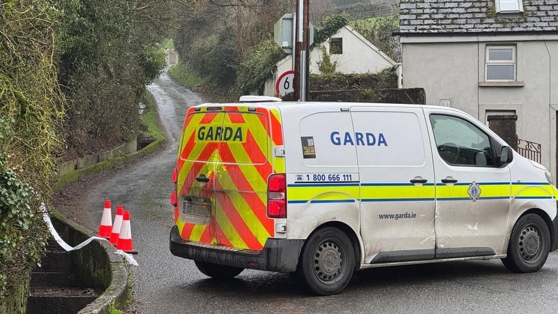 The discovery was made near the Holy Year Cross, around 2km south of Clonmel