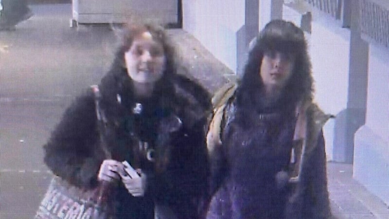 Gardaí released a CCTV image of Julia and Sadie from Heuston Station