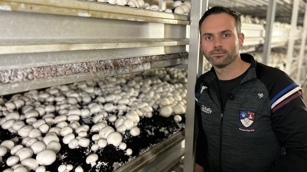 Joe Reilly of Reilly Mushrooms in Co Westmeath