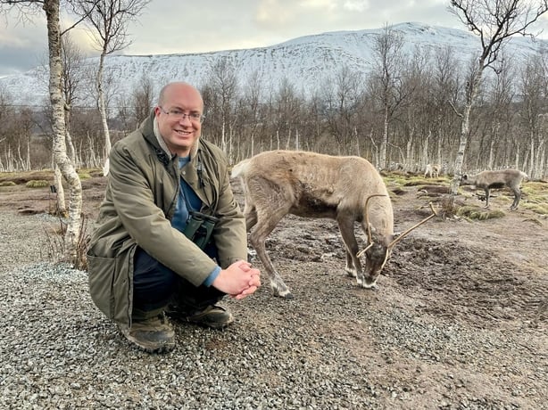 Mooney Goes Wild - Reindeer