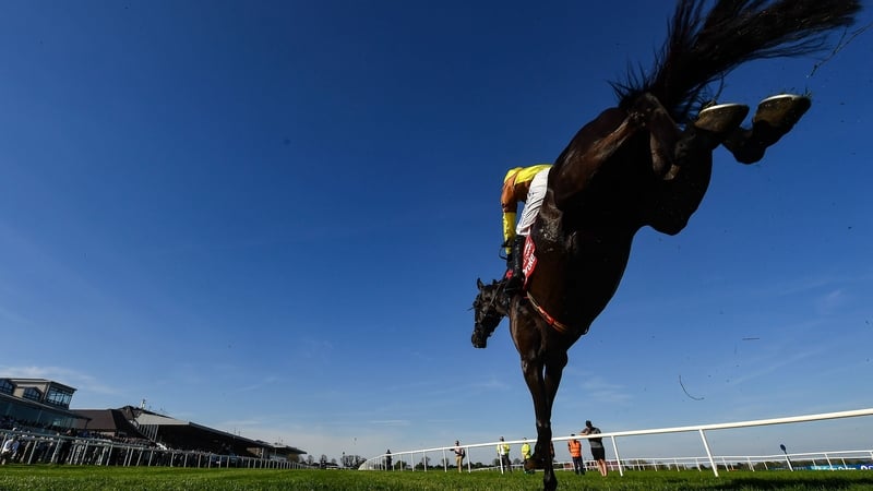 Galopin Des Champs is bidding for a fourth Irish Gold Cup back at Leopardstown on 31 January